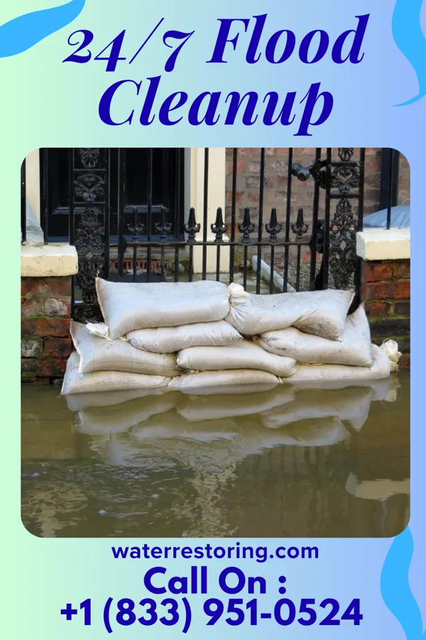 24/7 Flood Cleanup in Wheeler, IL