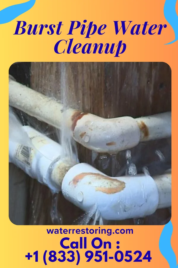 Burst Pipe Water Cleanup in Wheeler, IL