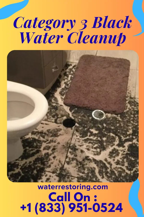 Category 3 Black Water Cleanup in Wheeler, IL