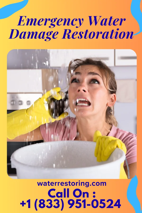 Emergency Water Damage Restoration in Wheeler, IL