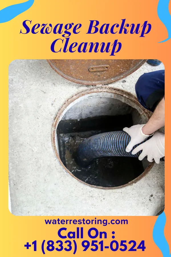 Sewage Backup Cleanup in Wheeler, IL