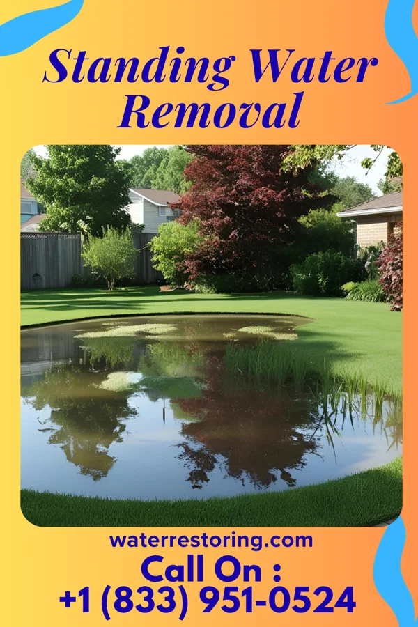 Standing Water Removal in Wheeler, IL